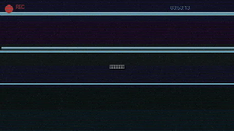 周末随拍记录 - 野花日本高清在线观看免费 原创视频